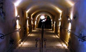 Μουσείο Οίνου Volcan Wines photo 7